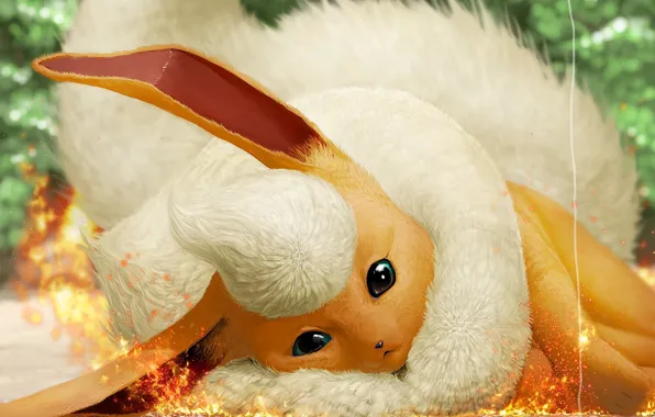 Game, anime, animal, asian, Pokemon, manga, japanese, oriental