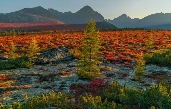 Осень, пейзаж, горы, природа, растительность, Владимир Рябков, Колыма