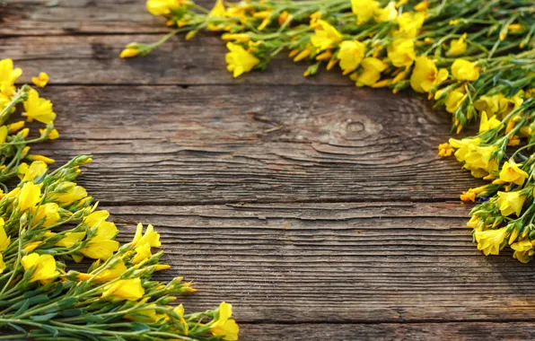 Картинка цветы, доски, желтые, yellow, wood, blossom, flowers, spring