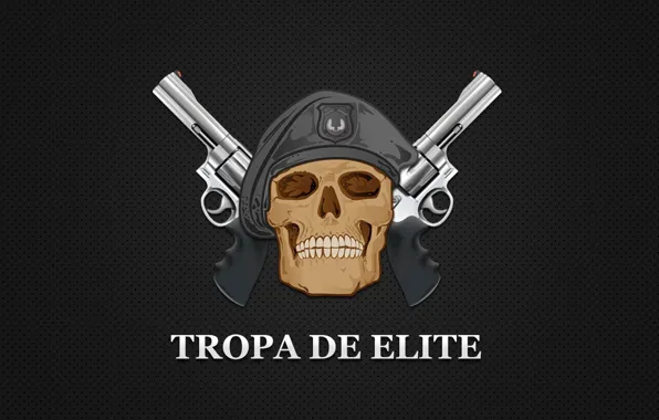 Картинка skull, gun, weapon, wings, death, revolver, teeth, Elite Equad