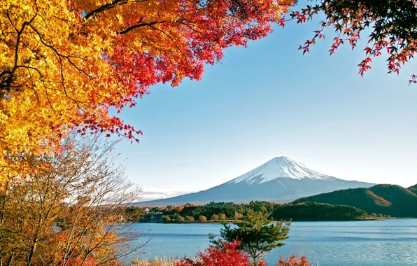 Картинка море, осень, вода, деревья, горы, природа, озеро, Фудзияма