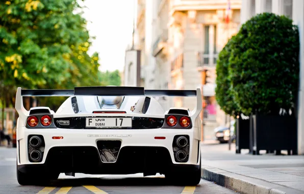 Картинка белый, Ferrari, white, феррари, Gemballa, Enzo, tuning, back