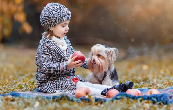 Картинка осень, природа, девочка, собачка, малышка, ребёнок, пёсик, Владимир Осауленко
