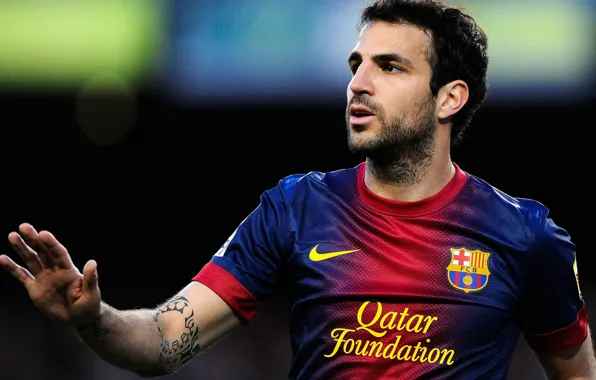 Картинка Спорт, Футбол, Барселона, Фабрегас, Fabregas, Football, Barca, Cesc, Cesc Fabregas