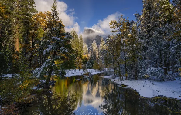 Картинка лес, снег, деревья, отражение, река, гора, Калифорния, California