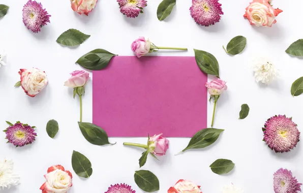 Картинка цветы, фон, розы, розовые, бутоны, pink, flowers, background