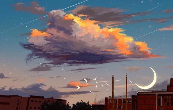 Картинка облако, город, птицы, небо, полумесяц