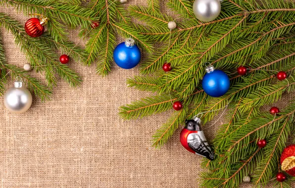 Картинка шарики, ветки, птица, Рождество, Новый год, хвоя, снегирь, синие, мешковина, физалис, ёлочные игрушки, новогодние украшения, …