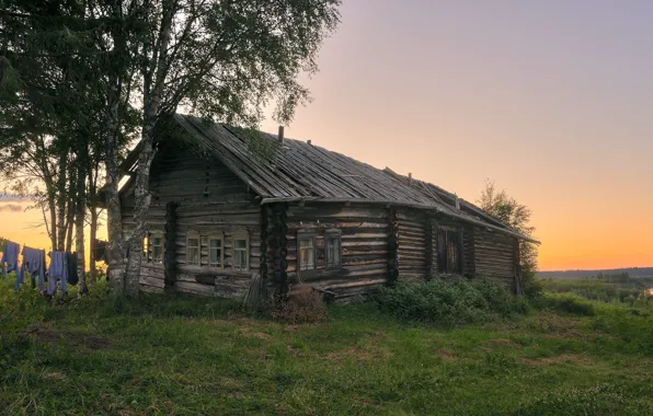 Картинка лето, деревня, Архангельская область, Печище
