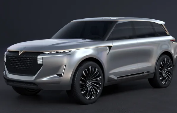 Картинка Concept, 2018, Venucia, The X