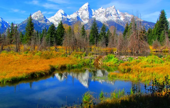 Картинка осень, небо, трава, снег, деревья, горы, озеро, отражение