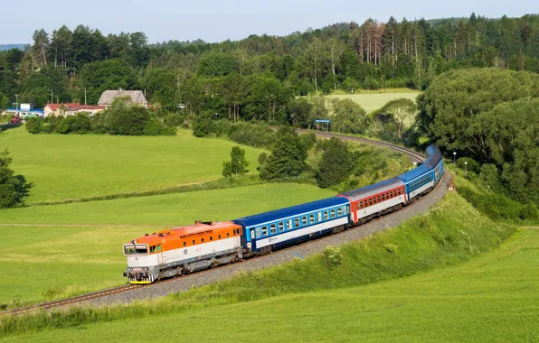 Картинка поле, лес, поезд, вагоны, Чехия, железная дорога, railroads