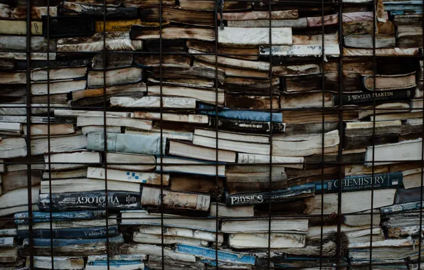 Картинка Art, Books, Culture, Thomas Ho