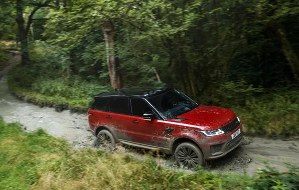 Картинка дорога, лес, вода, движение, растительность, грязь, внедорожник, Land Rover, чёрно-красный, четырёхдверный, Range Rover Sport Autobiography