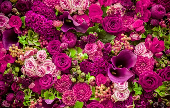 Картинка цветы, розы, розовые, бутоны, pink, flowers, beautiful, romantic, purple, roses