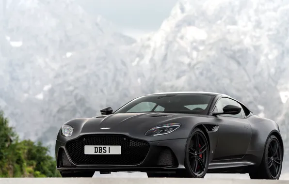 Картинка Aston Martin, DBS, Superleggera