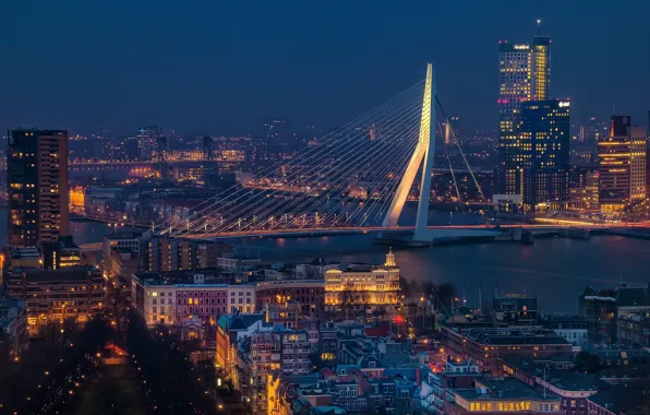 Картинка Netherlands, blue hour, cityscape, Rotterdam, Erasmus Bridge, urban scene, Erasmusbrug