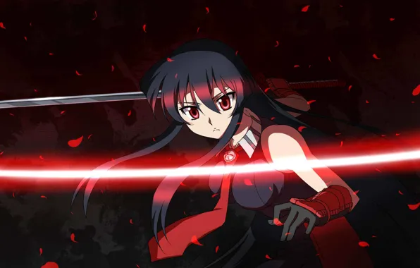 Картинка взгляд, Akame, Akame ga kill, катана, убийца Акаме, night raid