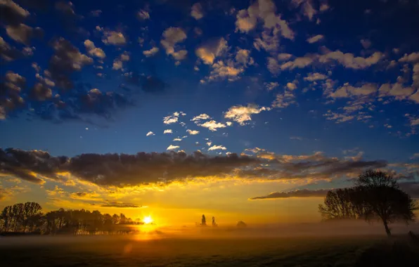 Картинка поле, небо, пейзаж, природа, туман, утро