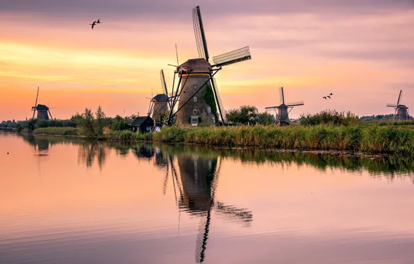 Картинка озеро, отражение, берег, мельницы, кусты, водоем, Голландия, ветряные, ветряная мельница, зеркальное