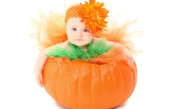Картинка цветок, ребенок, девочка, тыква, Pumpkin, малышка, маленькая, child, kid, Infants
