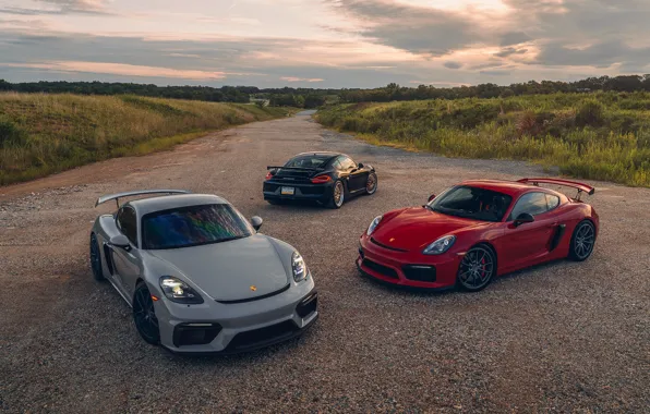 Картинка car, Porsche, road, field, sunlight, GT4, headlights, taillights