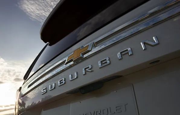 Картинка Chevrolet, SUV, корма, Suburban, 2020
