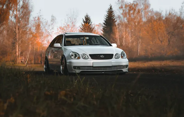 Картинка осень, static, autumn, stance, lexus gs