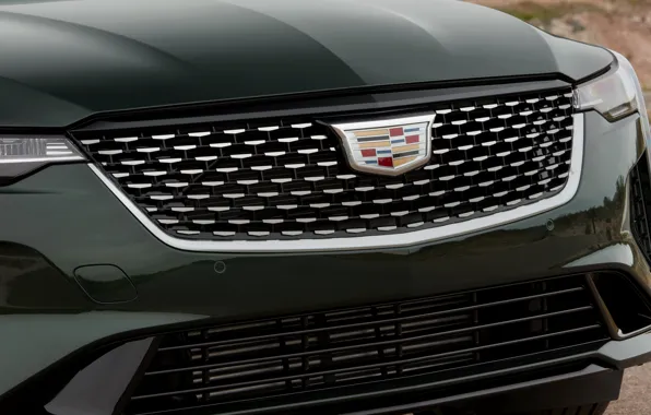 Картинка Cadillac, решётка, седан, четырёхдверный, 2020, CT4