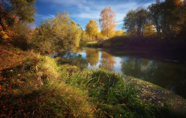 Картинка осень, листья, вода, Природа