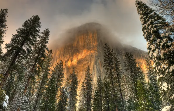 Картинка зима, облака, снег, деревья, туман, скалы, hdr, Калифорния