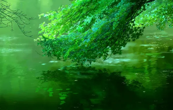 Картинка Дерево, Отражение, Река, Листва