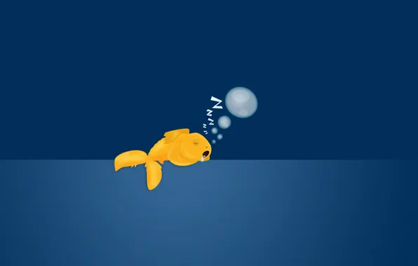 Картинка пузыри, фон, спит, золотая рыбка