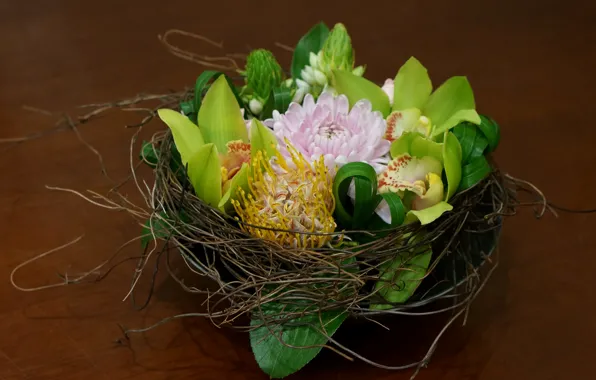 Картинка орхидеи, корзинка, георгины