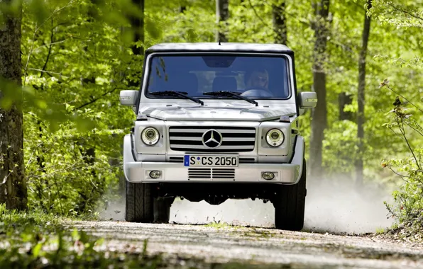 Картинка лес, mercedes-benz, гелик