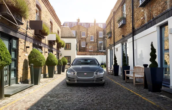 Картинка jaguar, portfolio