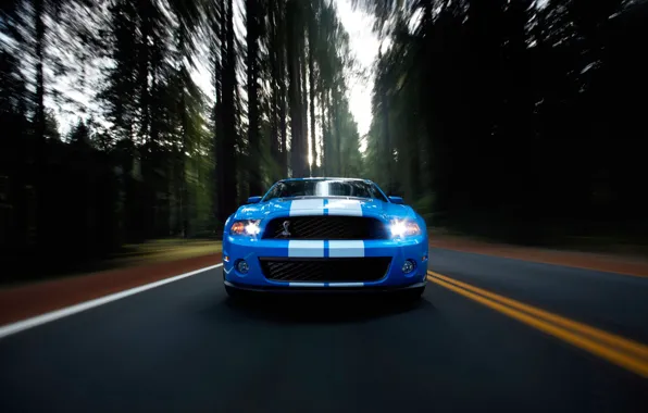 Картинка дорога, авто, лес, движение, обои, скорость, трасса, Mustang, Ford, Shelby, GT500