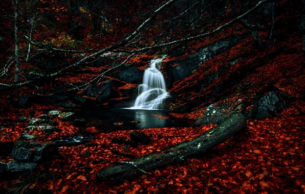Картинка осень, природа, река