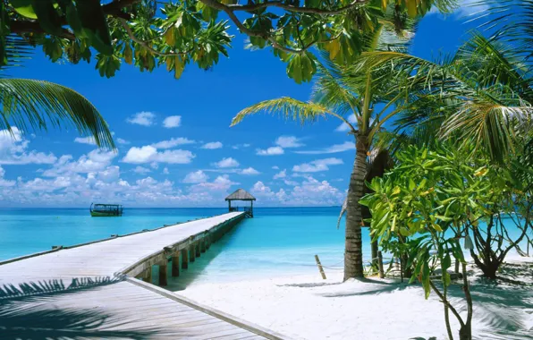 Картинка пляж, мост, пальмы, океан, лодки, причал, Мальдивы