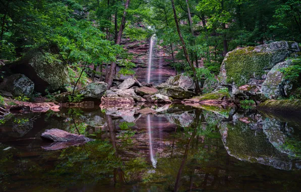 Картинка лес, вода, деревья, скала, отражение, камни, водопад, мох, США, Arkansas, Petit Jean State Park
