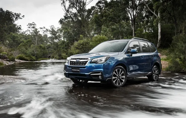 Картинка деревья, река, Subaru, субару, форестер, Forester