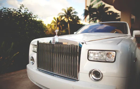 Картинка car, пальмы, rolls royce, white, передок, phantom, luxury, exotic