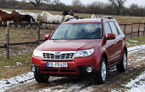 Картинка Subaru, Япония, Снег, Обои, Japan, Car, Auto, Субару, Wallpapers, Внедорожник, Суба, Forester, Форестер