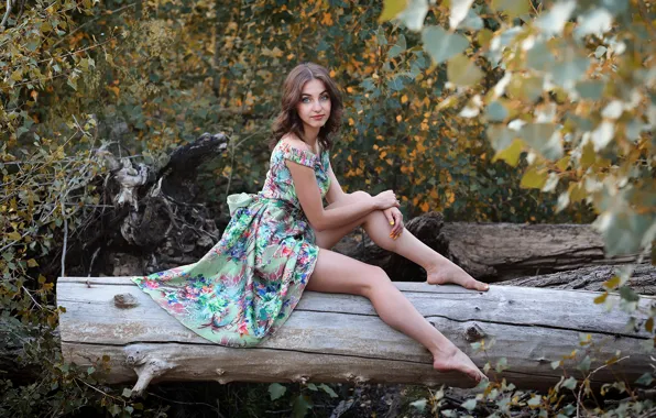 Картинка поаз, взгляд, Murat Kuzhakhmetov, сидя на дереве, листва, милая девушка, стройные ножки