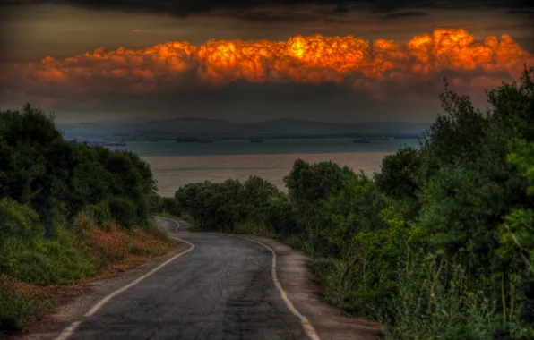 Картинка дорога, море, небо, облака, деревья, вечер, road, sky