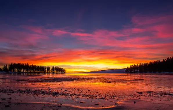 Картинка лед, озеро, ice, lake, красное небо, red sky, trees sunset, деревья закат