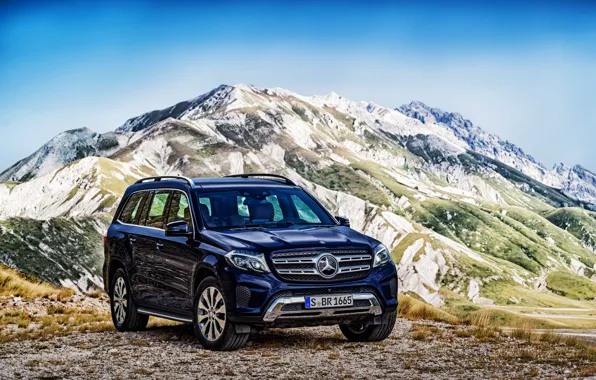 Картинка Mercedes-Benz, мерседес, AMG, амг, X166, GLS-Class