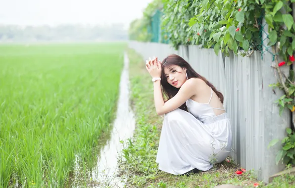 Картинка girl, woman, asian, Field