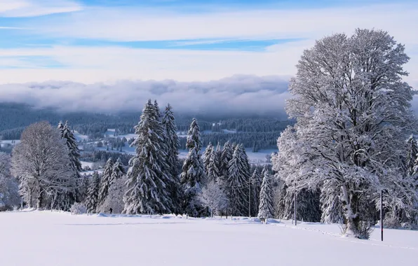 Картинка зима, иней, лес, небо, облака, снег, деревья, туман, столбы, вид, сказка, даль, склон, холм, дымка