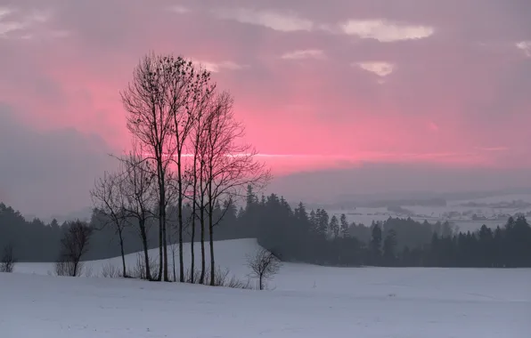 Картинка зима, снег, деревья, зарево